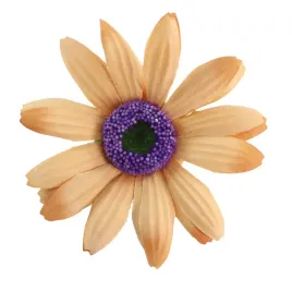 calendula-wyr-24-szt-jasny-brazowy-sp