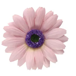 calendula-wyr-24-szt-fioletowa-sp