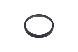 maxgear-pierscien-abs-citroen-tyl-c2-c3-11-16-02-