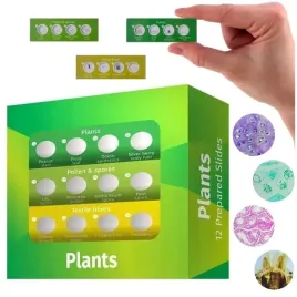 preparaty-roslinne-do-mikroskopu-gotowe-probki-levenhuk-labzz-p12