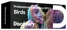 preparaty-mikroskopowe-do-mikroskopu-5-szt-discovery-dps-5-ptaki