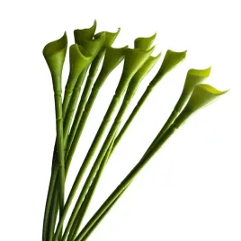 lodyga-do-kalii-12-galazek-zielonej-lodygi-kalla-ozdoba-sztuczne-kwiaty