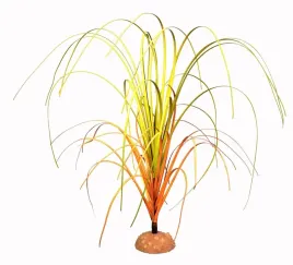 terra-natura-roslina-trawa-na-podstawce-do-terrarium