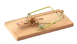 lapka-na-myszy-pulapka-myszolapka-zywolapka-drewno