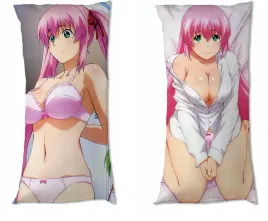 dakimakura-hagure-yuusha-no-estetica-do-wyboru