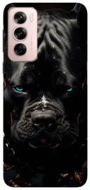 etui-case-do-oppo-reno12-pro-dzikie-bestie-pajaki-weze