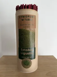 ligustr-pospolity-100-szt-sztobry-20-cm-or-na-gesty-zywoplot-or-producent