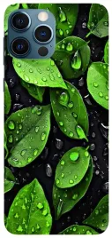 etui-case-do-apple-iphone-14-pro-max-rosliny-sport-gry-stitch