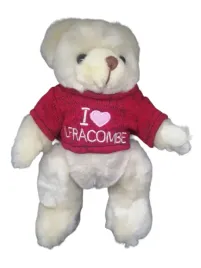 mis-pluszowy-zabawka-przytulanka-pluszak-27-cm