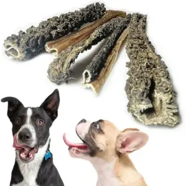 zwacze-wolowe-smaczek-przysmak-dla-psa-na-trawienie-15cm-balto-50g