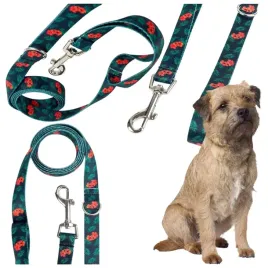 smycz-przepinana-dla-psa-mocna-tasma-treningowa-kwiaty-paw-planet-24m-25mm