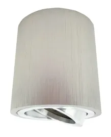 oprawa-natynkowa-ruchoma-gu10-led-plafon-srebrna