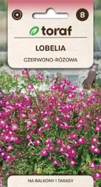 lobelia-czerwono-rozowa-nasiona-kwiatow-551-toraf