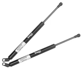 silowniki-x2-teleskopy-klapy-bagaznika-tyl-bmw-5-e39-sedan