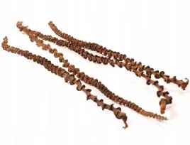 naturalna-liana-z-bananowca-dla-wszystkich-papug-35-45cm