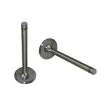 zawor-wydechowy-7340-zetor-waga-z-opakowaniem-0-12-kg