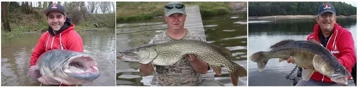 3-x-mepps-aglia-e-brite-nr-3-65-gr