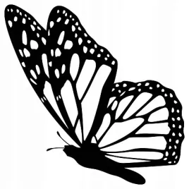 naklejka-na-sciane-motylek-motyl-15-cm