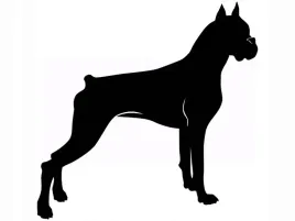 naklejka-samoprzylepna-na-sciane-do-sypialni-pies-piesek-bokser-35-cm