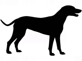 naklejka-scienna-na-sciane-pies-piesek-do-salonu-sypialni-chart-80-cm