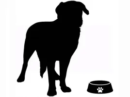 duza-naklejka-na-sciane-pies-piesek-do-pokoju-dziecka-labrador-35-cm