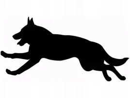 naklejka-na-sciane-pies-owczarek-25-x-50-cm