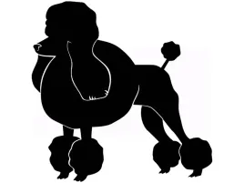 naklejka-dekoracyjna-na-sciane-pies-piesek-dla-dzieci-pudelek-50-cm