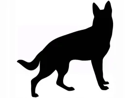 naklejka-na-sciane-pies-owczarek-35-x-35-cm