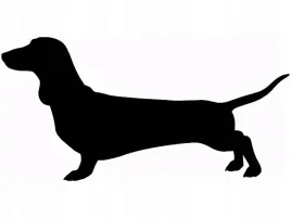 naklejka-na-sciane-pies-jamnik-50-x-100-cm