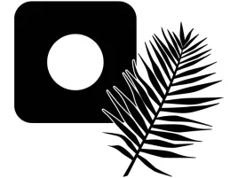 naklejka-pod-wlacznik-kontakt-gniazdko-lisc-palmy-do-salonu