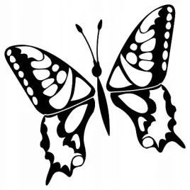 naklejka-na-sciane-z-motylem-motyl-15-cm