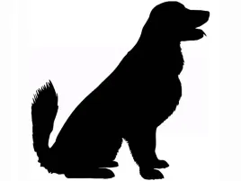 naklejka-na-sciane-dekoracja-do-salonu-pies-piesek-retriever-50-cm