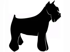 naklejka-scienna-na-sciane-pies-piesek-do-salonu-sypialni-sznaucer-50-cm