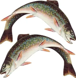 2x-naklejki-lodke-pstrag-50cm-auto-wedkarskie-ryba