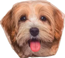 pluszak-przytulanka-dla-dziecka-antyalergiczna-piesek