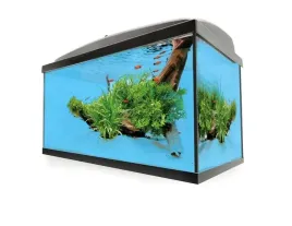 akwarium-zestaw-oswietlenie-led-dzien-noc-30l-prosty-pelne-wyposazenie
