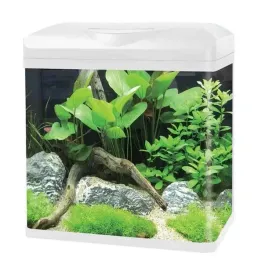 invital-easytank-pro-led-16l-bialy