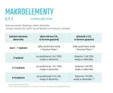 makro-model-r1