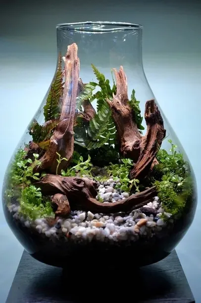 dsm-day-ukorzeniacz-waga-z-opakowaniem-0-3-kg-marka-growise