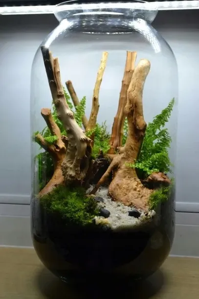 dsm-day-ukorzeniacz-waga-z-opakowaniem-0-3-kg-konsystencja-plyn