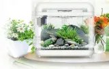 invital-easytank-cascade-led-7-litrow-bialy-stan-nowy
