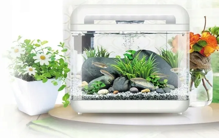 invital-easytank-cascade-led-7-litrow-bialy