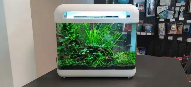 invital-easytank-cascade-led-7-litrow-bialy