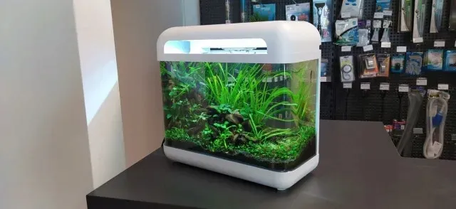 invital-easytank-cascade-led-7-litrow-bialy