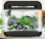 invital-easytank-cascade-led-7-litrow-czarny-stan-nowy