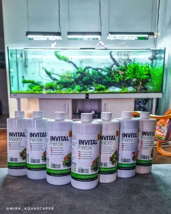 invital-carbon-500ml