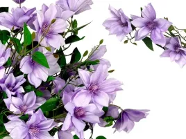 sztuczny-clematis-powojnik-kwiat-galazka-70-cm