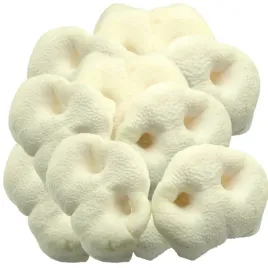 nos-wieprzowy-bialy-smakolyk-premium-dla-psa-20szt