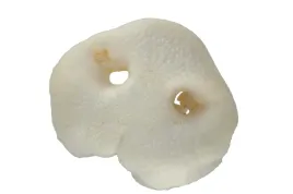 nos-wieprzowy-bialy-smakolyk-premium-dla-psa-1szt