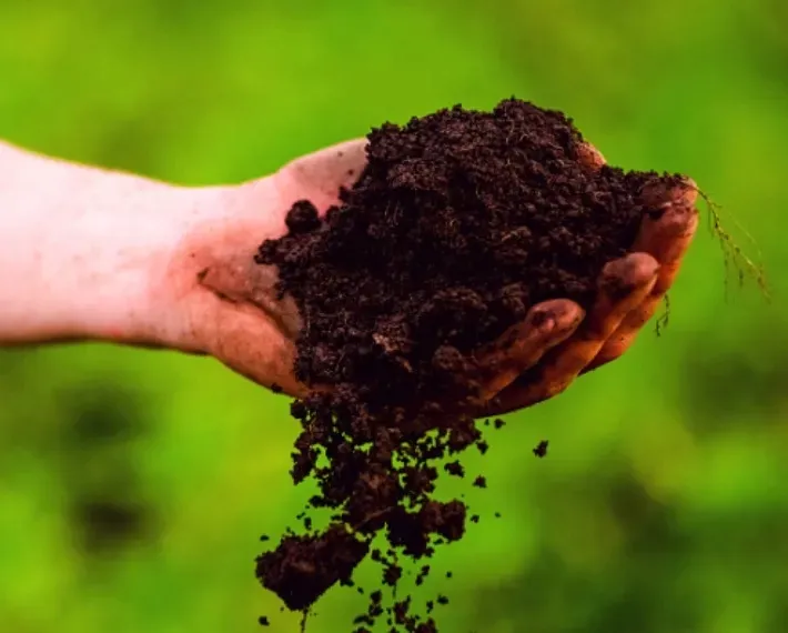 bopon-nawoz-do-datury-1kg-forma-granulat